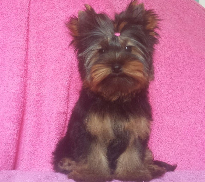 My precious love Lee-Lee Von Teese