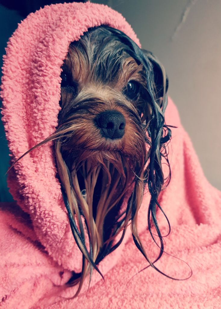 Oui nous sommes beaux même mouillés !